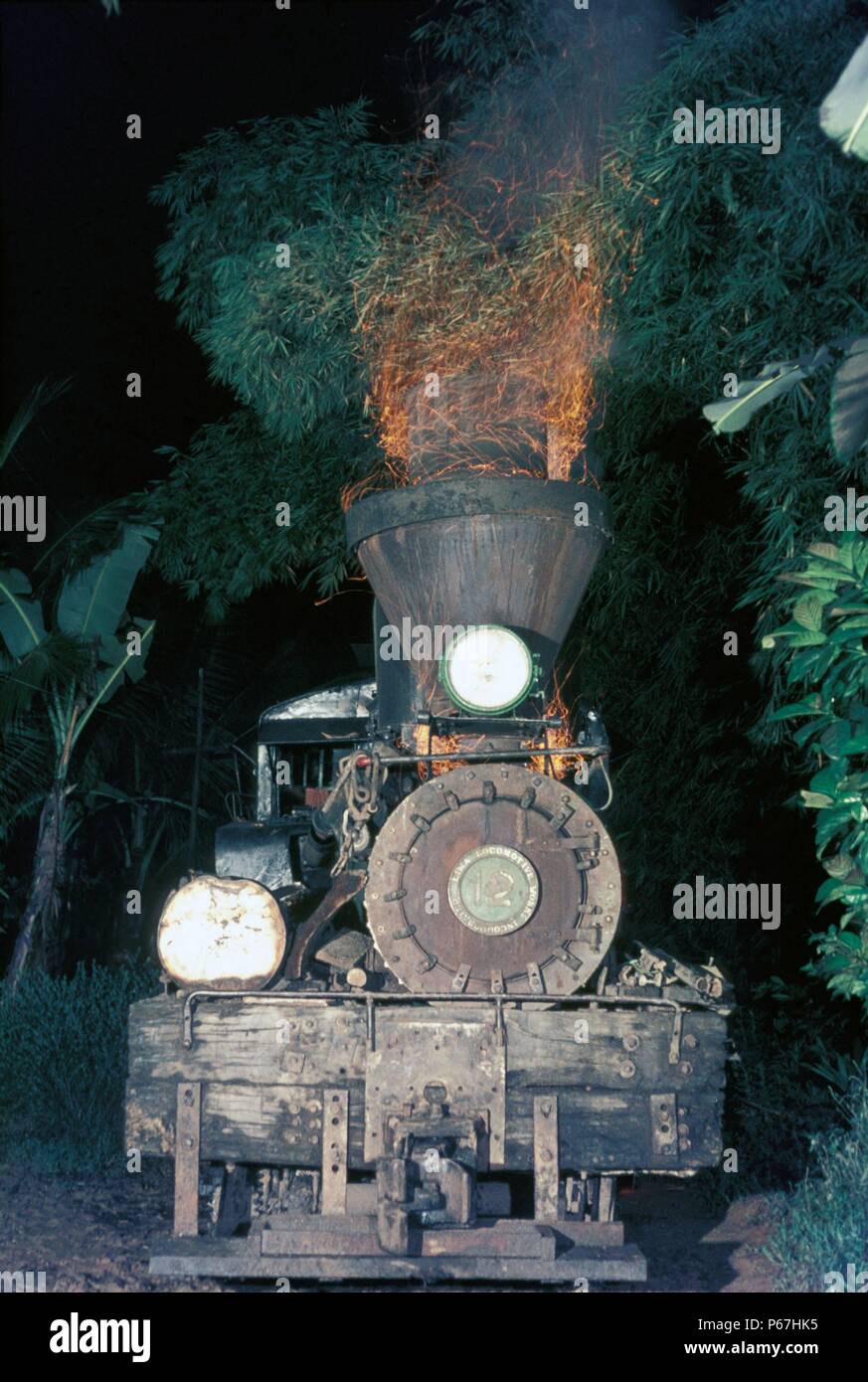 Il legname insulare dell'azienda di masterizzazione in teak 3 carrello Shay No.12 costruito la lima di Ohio di Fiery umore a Minapasuk Campo Base a 03:30 am domenica 27 Octob Foto Stock