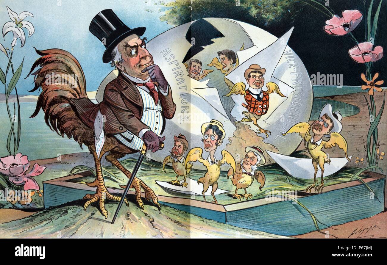McKinley's Easter egg' William McKinley come un gallo in piedi accanto a un uovo rotto etichettato "Vice-Presidential aspirazioni" da cui diversi pulcini sono emerse, identificato come: 'Lodge, nero, Bliss, Teddy, radice, Beveridge, [e] Timmy Woodruff.". Foto Stock