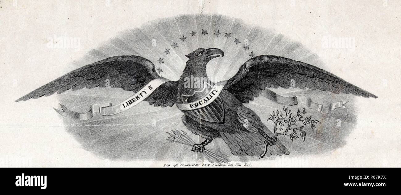 American Eagle un simbolo degli Stati Uniti d'America Foto Stock