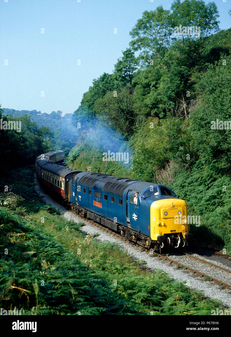 North Yorkshire Moors Railway. No.55019 'Royal Highland Fusilier' è visto qui un Beckhole con il 14.55 servizio da Grosmont voce a Pickering. 1 Foto Stock