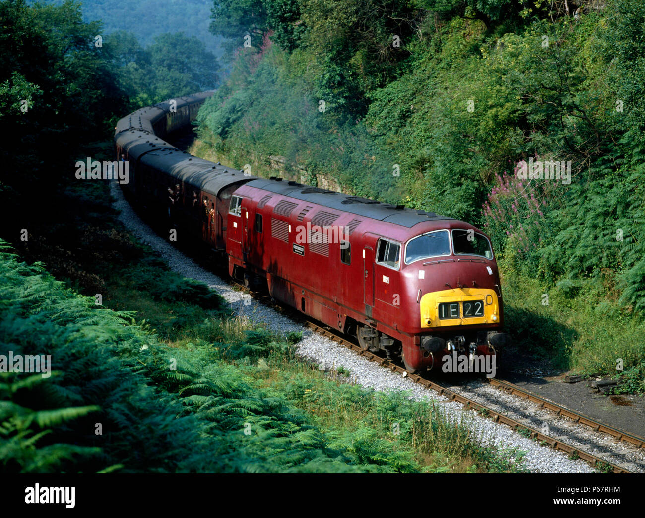 North Yorkshire Moors Railway. No.D821 'Greyhound' è visto a Beckhole con il 14.55 servizio da Grosmont a Pickering. 11 agosto 1983. Foto Stock