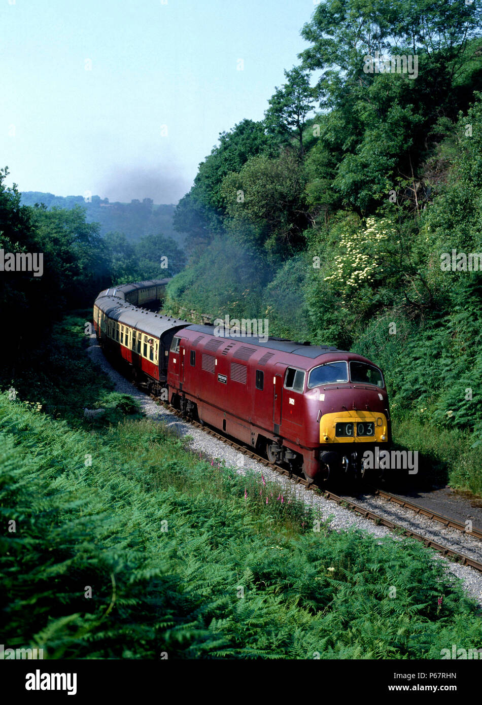 North Yorkshire Moors Railway. No.D821 'Greyhound' è visto qui a Beckhole con il 14.55 servizio da Grosmont voce a Pickering. 12 Luglio 1983 Foto Stock