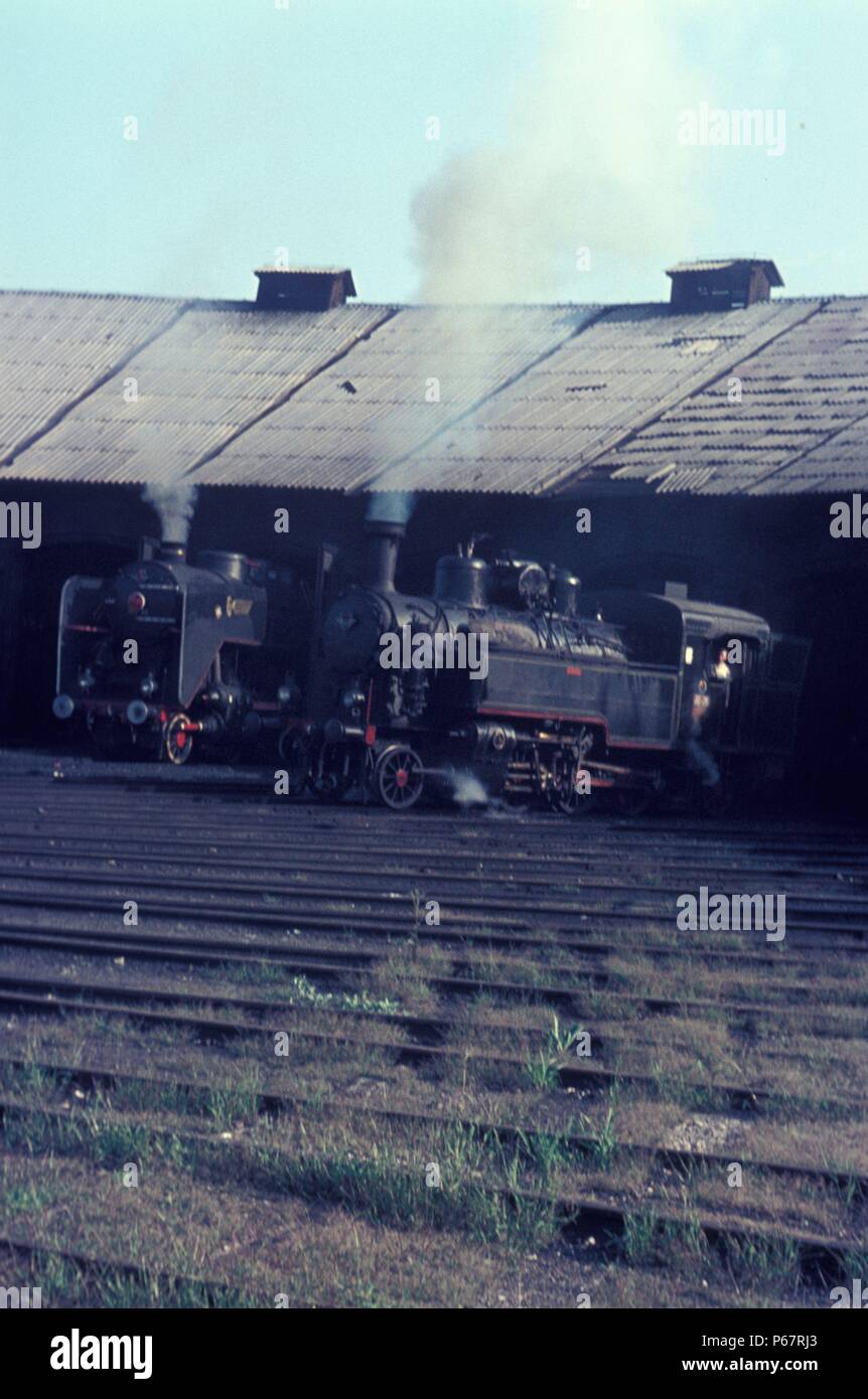 Nova Sad Serbia in deposito con una classe 51 2-6-2T e un ex ungherese classe 11 4-8-0 nel luglio 1972. Foto Stock
