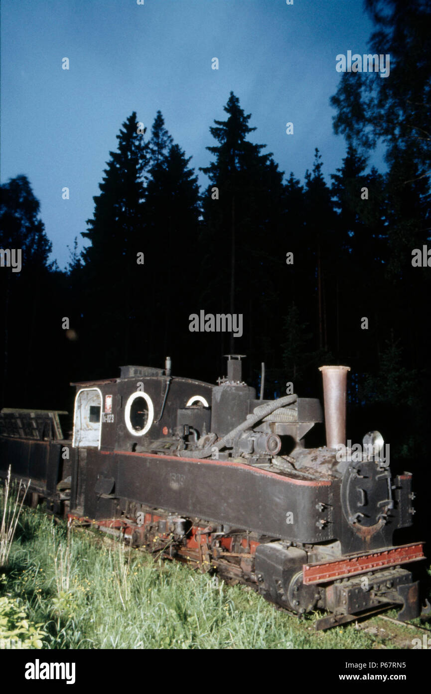 Uno dei classici 600mm manometro Feldbahns tedesco giace abbandonata a Hajnowka nel nord est della Polonia vicino al confine russo martedì 24 maggio 198 Foto Stock