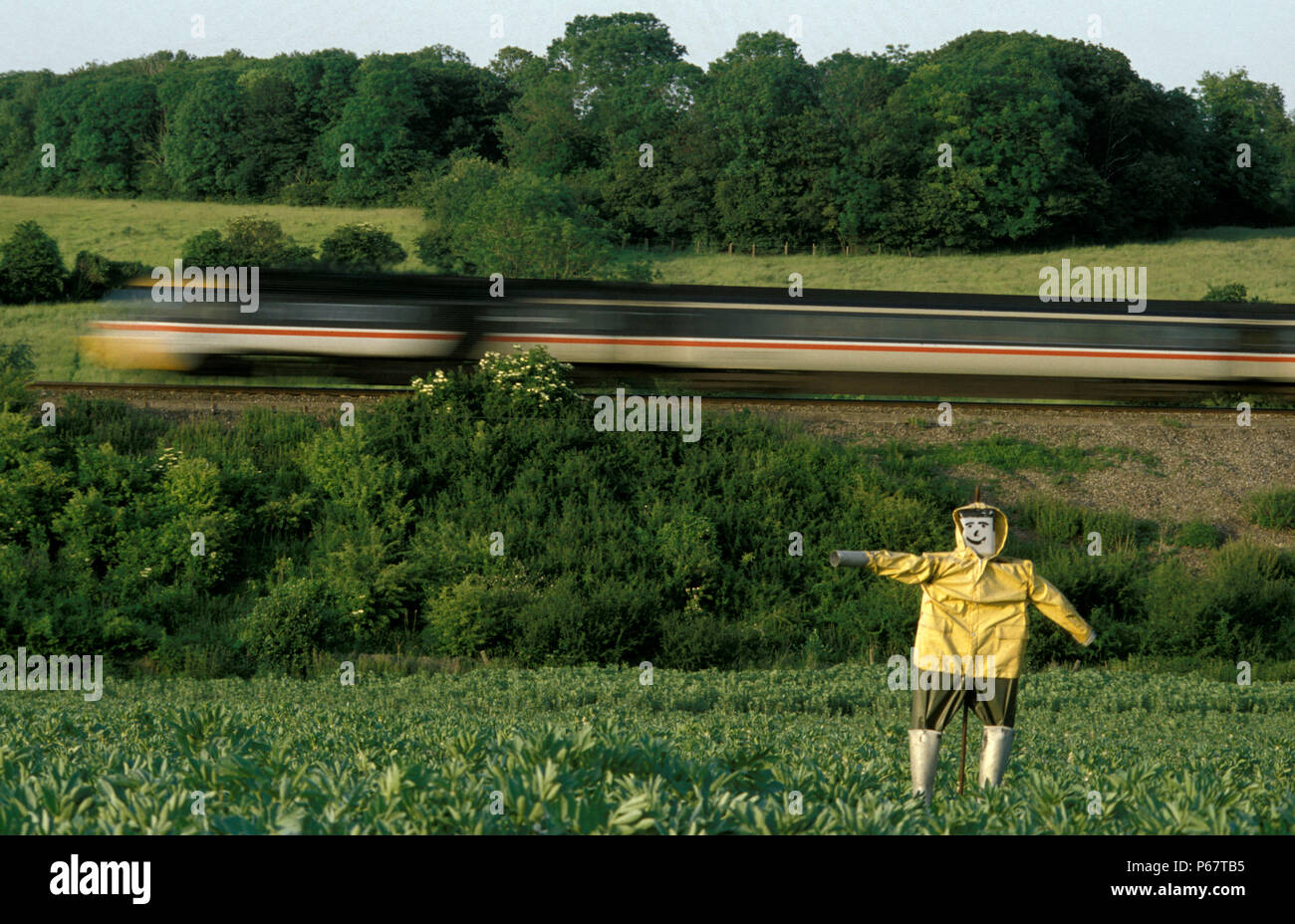 Leicestershire rurale e un treno Intercity velocità passato un vigile lo spaventapasseri in una sfocatura di velocità. c1993 Foto Stock