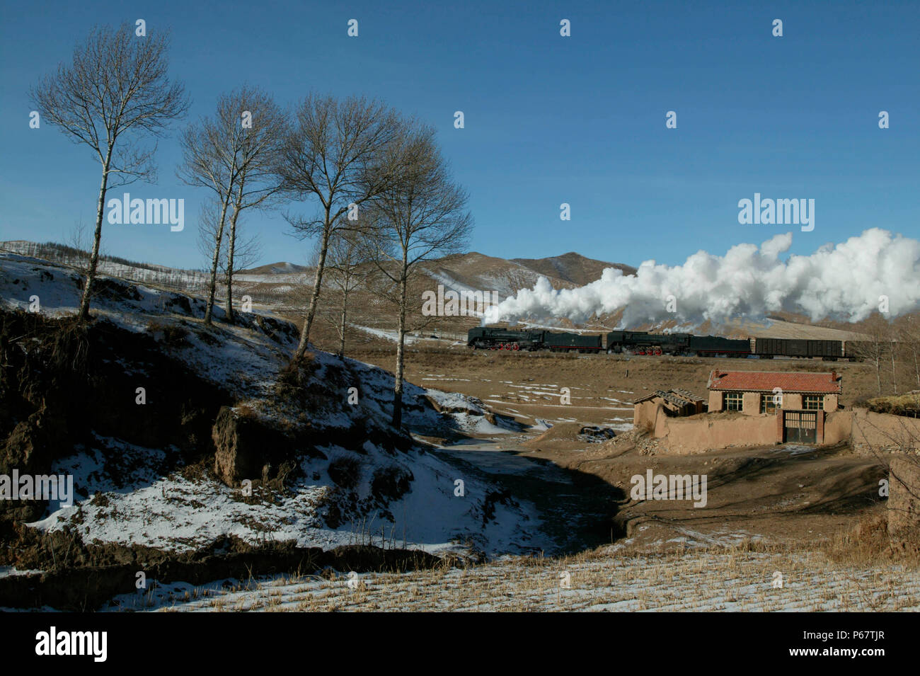 Sei alberi. Un Westbound Freight trainato da due ferrovie in Cina QJ classe 2-10-2s sulla fase finale della salita al tunnel n. 5 e il vertice di Shandian Foto Stock