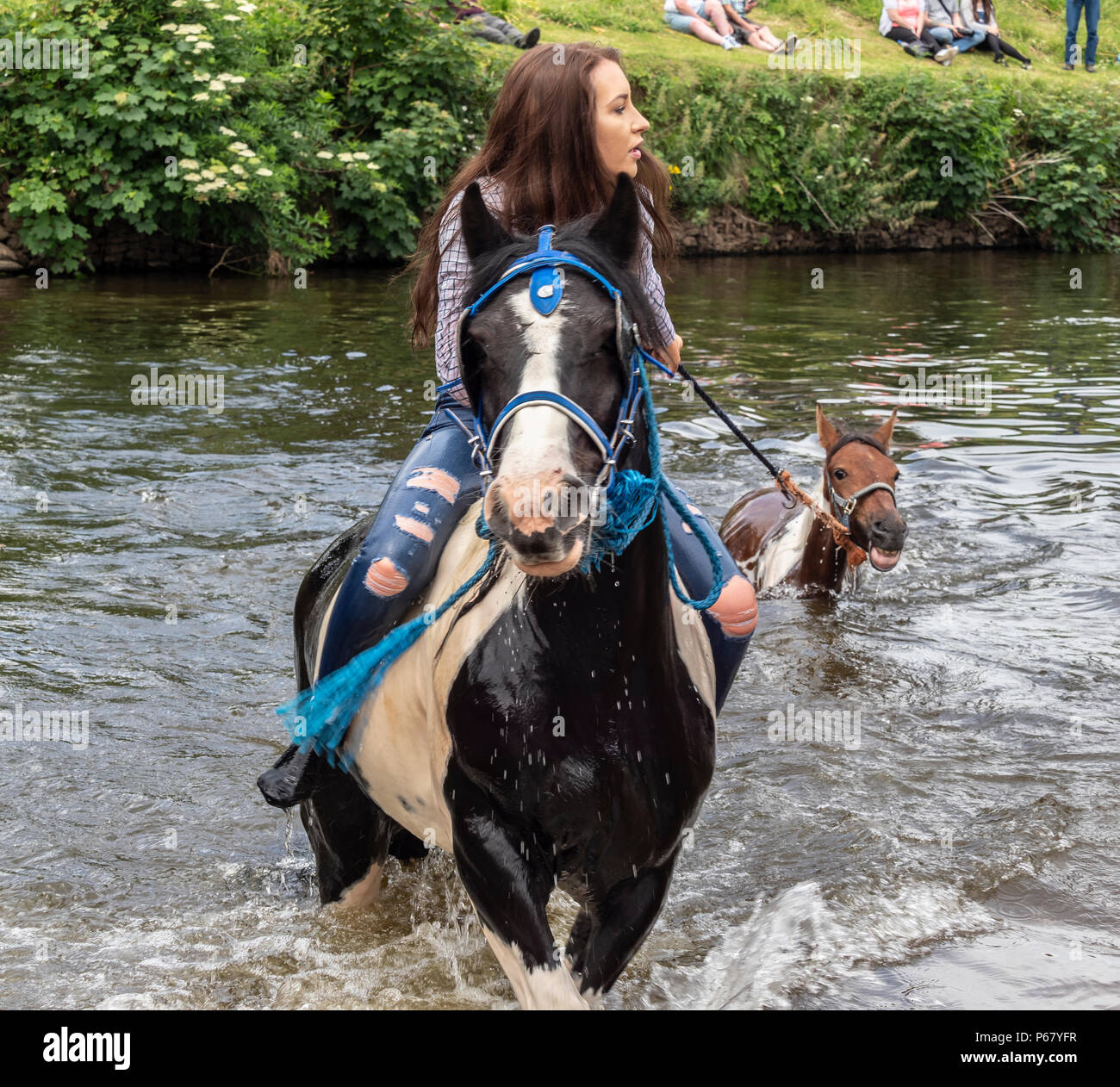 Appleby Horse Fair Cumbria, Giugno 2018. Incontro annuale di zingari e nomadi nella città di Appleby-in-Westmoreland Foto Stock