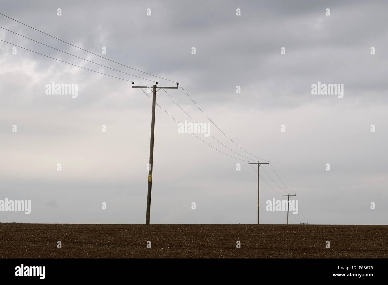 I cavi telefonici infilate attraverso un campo remoto Foto Stock