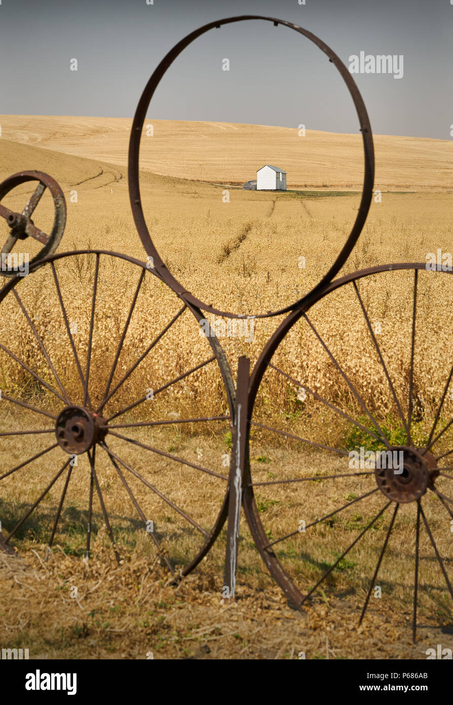 Ruota Palouse recinzione, Washington una ruota nel recinto della Palouse davanti a un campo di ceci. Stato di Washington, USA. Foto Stock