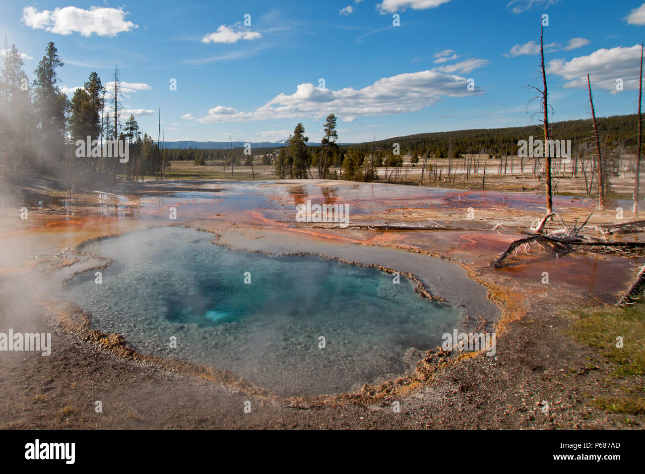 Firehole molla sul lago Firehole Drive nel Parco Nazionale di Yellowstone in Wyoming negli Stati Uniti Foto Stock