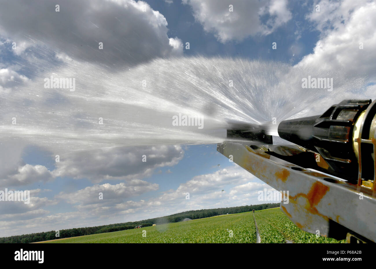 Sassenburg, Germania. Il 27 giugno, 2018. Un campo di rape è irrigato in tempo soleggiato. Credito: Holger Hollemann/dpa/Alamy Live News Foto Stock