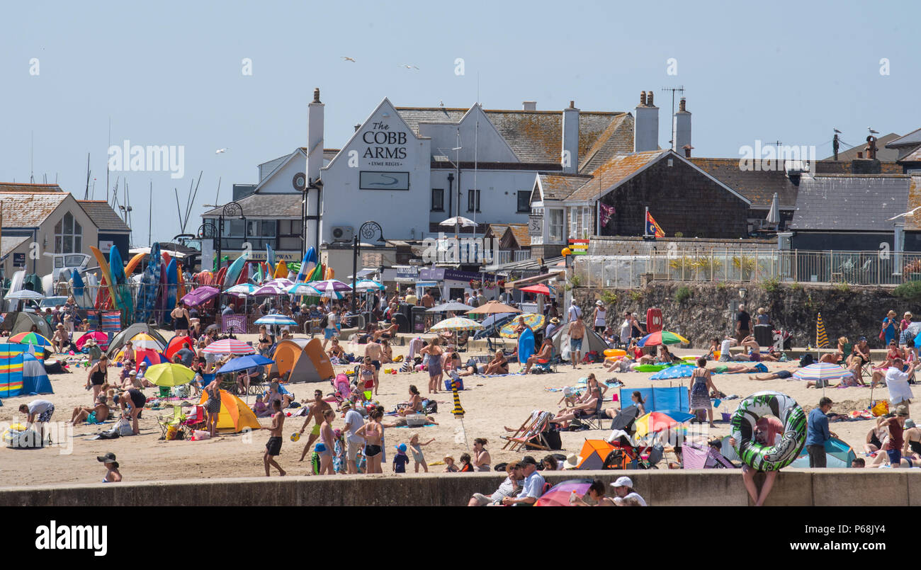 Lyme Regis, Dorset, Regno Unito. Il 29 giugno 2018. Regno Unito: meteo locali e turisti affollano la spiaggia per godervi più caldo sole e cielo blu chiaro nella località balneare di Lyme Regis come registrare le temperature di rottura sono impostati per continuare in luglio. Credito: Celia McMahon/Alamy Live News Foto Stock