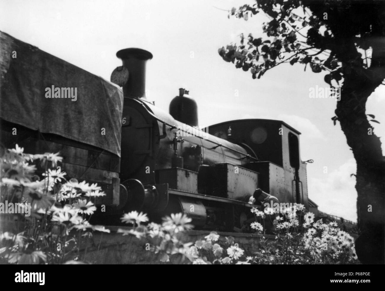 Questi Beattie e serbatoi sono stati introdotti nel 1864 per lavorare i treni suburbani fuori Londra Waterloo essi sono stati spezzati dal 1898 ad eccezione di tre examp Foto Stock