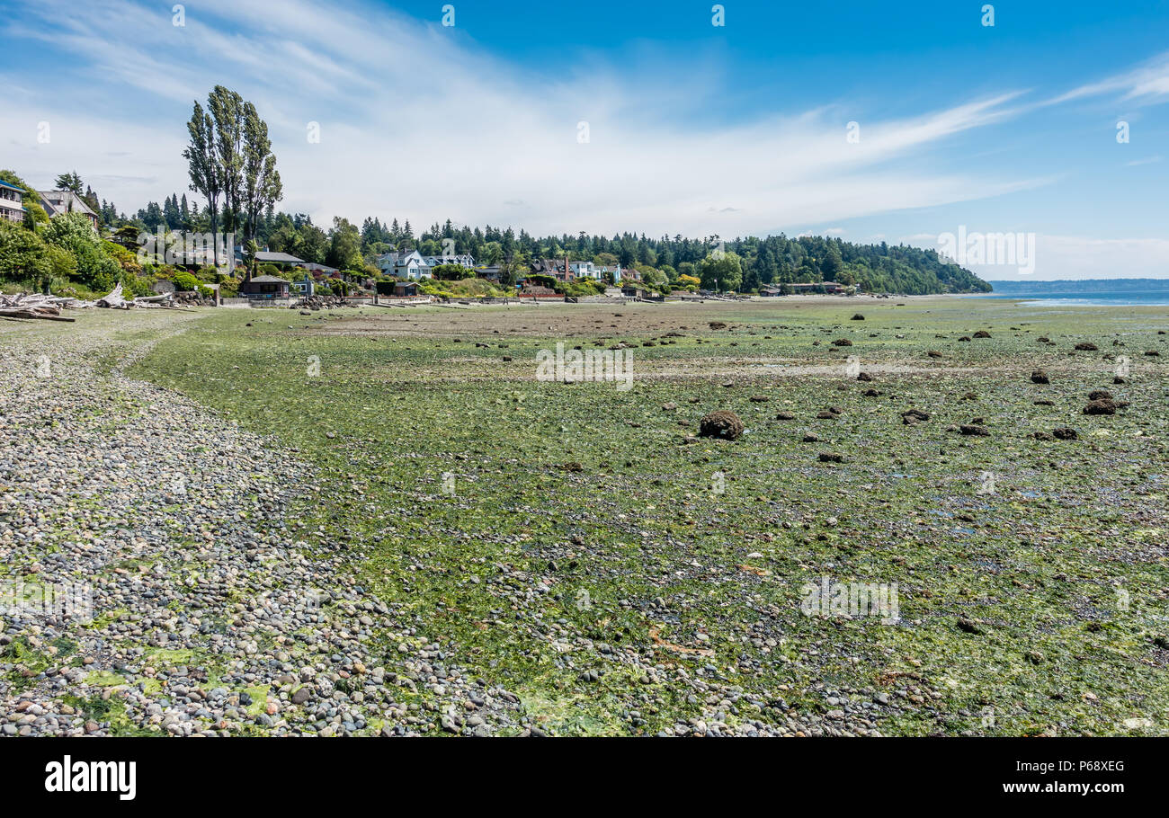 La marea è estremamente basso al parco della Normandia, Washington. Foto Stock