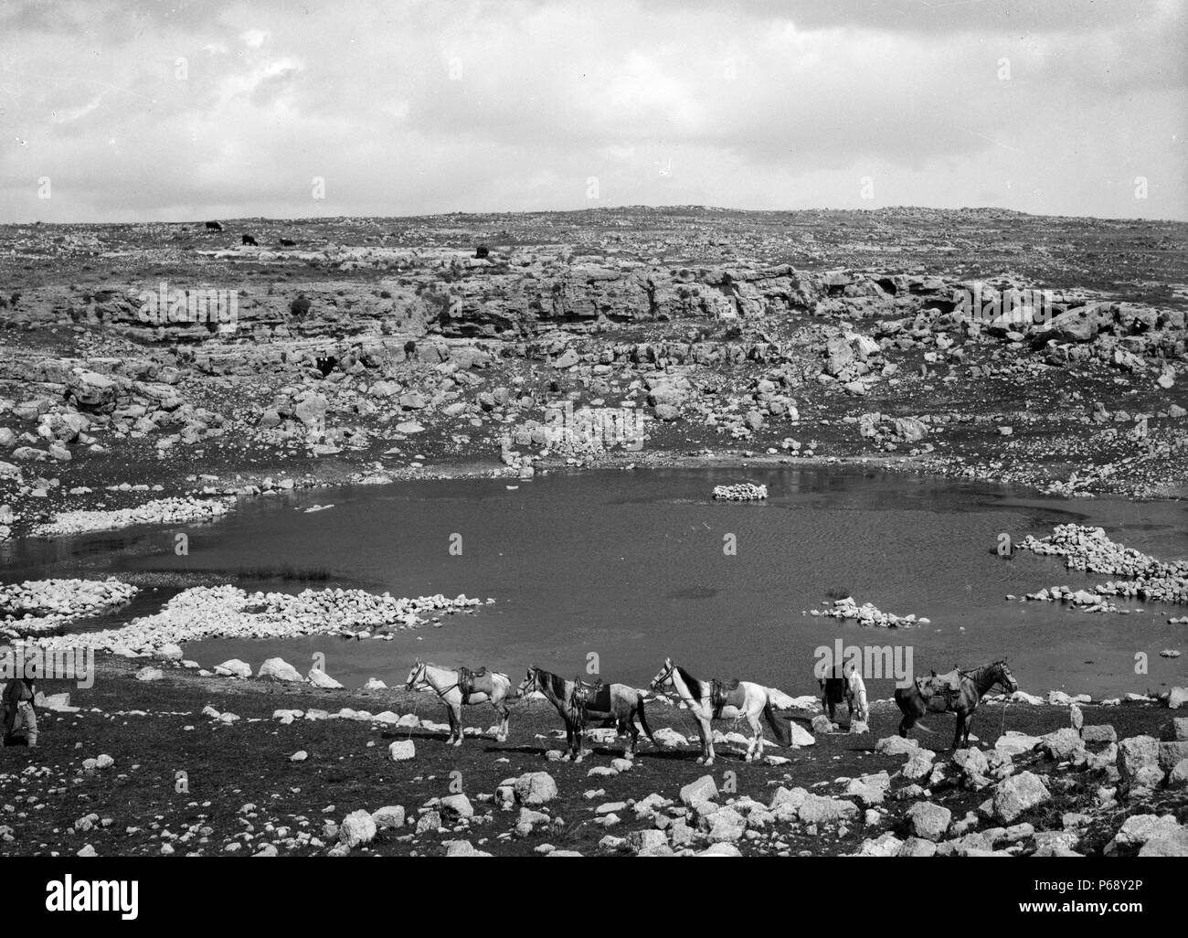Fotografia del villaggio Al-Karmil in Palestina. Situato nei pressi di Hebron Governatorato Sud della Cisgiordania. Datata 1920 Foto Stock