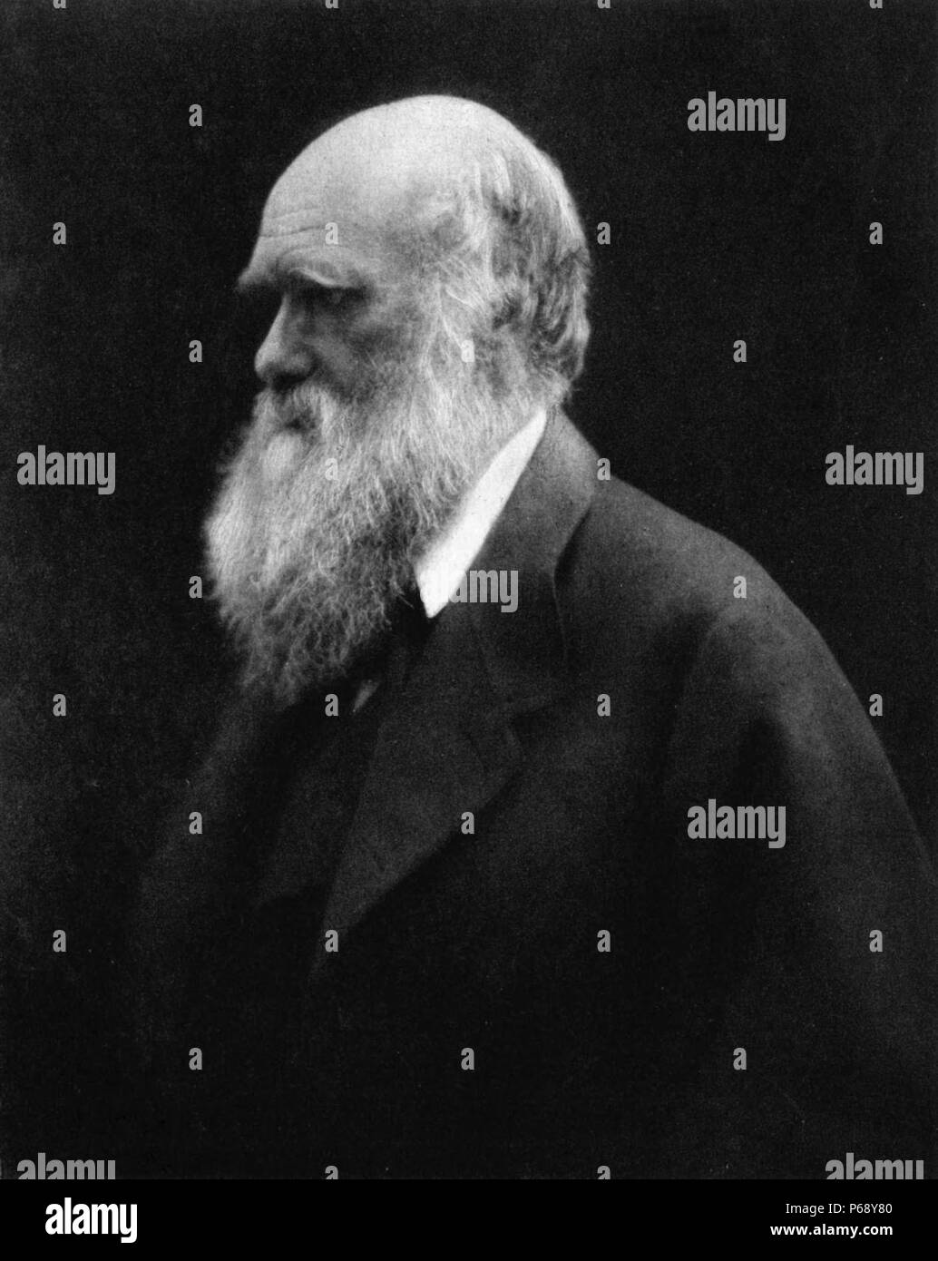Fotografia di Robert Charles Darwin (1809-1882) naturalista inglese e geologo, più noto per i suoi contributi alla teoria evolutiva. Fotografata da Julia Margaret Cameron. Datata 1868 Foto Stock