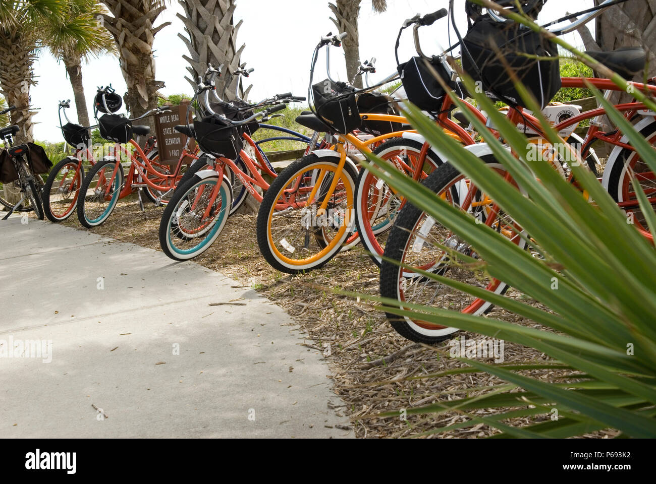 Colorate biciclette elettriche in una riga a Myrtle Beach State Park, SC, Stati Uniti d'America. Foto Stock