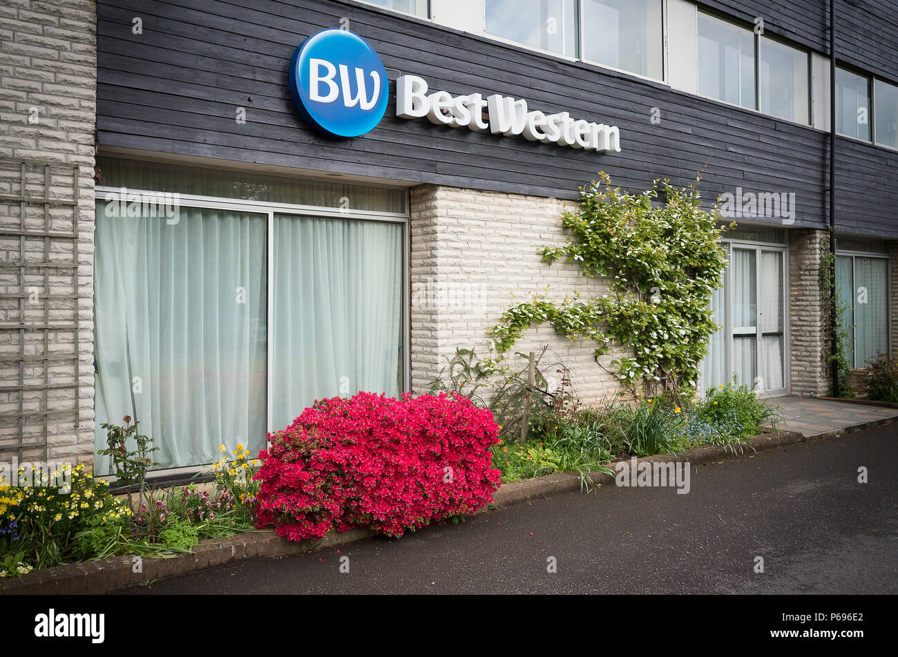 Una facciata colorata del Best Western hotel a Tiverton Devon settentrionale con un campione di azalea rossa in uno stretto bordo anteriore Foto Stock