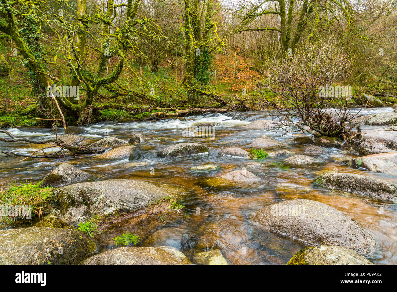 Il gorgogliamento River Dart con massi e rocce Foto Stock