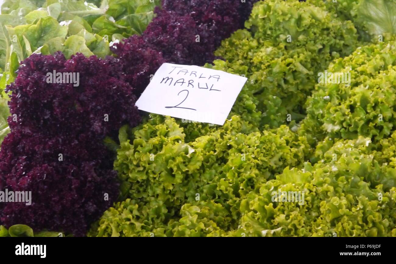 Organico e insalata di lattuga su un mercato degli agricoltori in Turchia Foto Stock