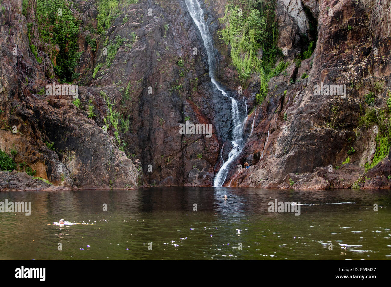 Rinfrescati nelle acque limpide ai piedi delle cascate Wangi nel Parco Nazionale di Litchfield. Nuoto sicuro nel Nord Australia Foto Stock