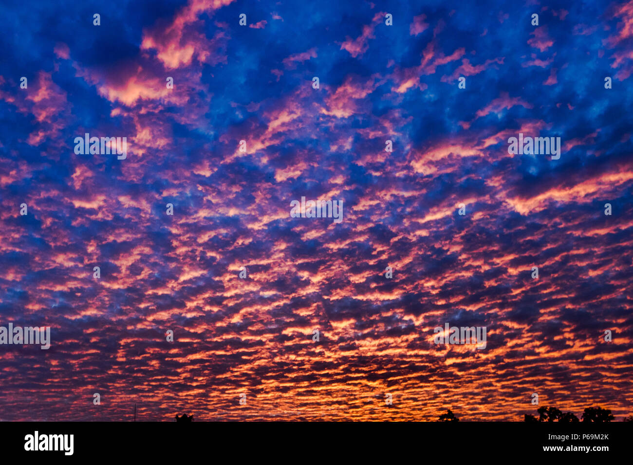 Un cielo mattutino sul Territorio del Nord, in Australia, trasforma dense bande di nuvole in un arancione brillante su uno sfondo blu scuro. Foto Stock