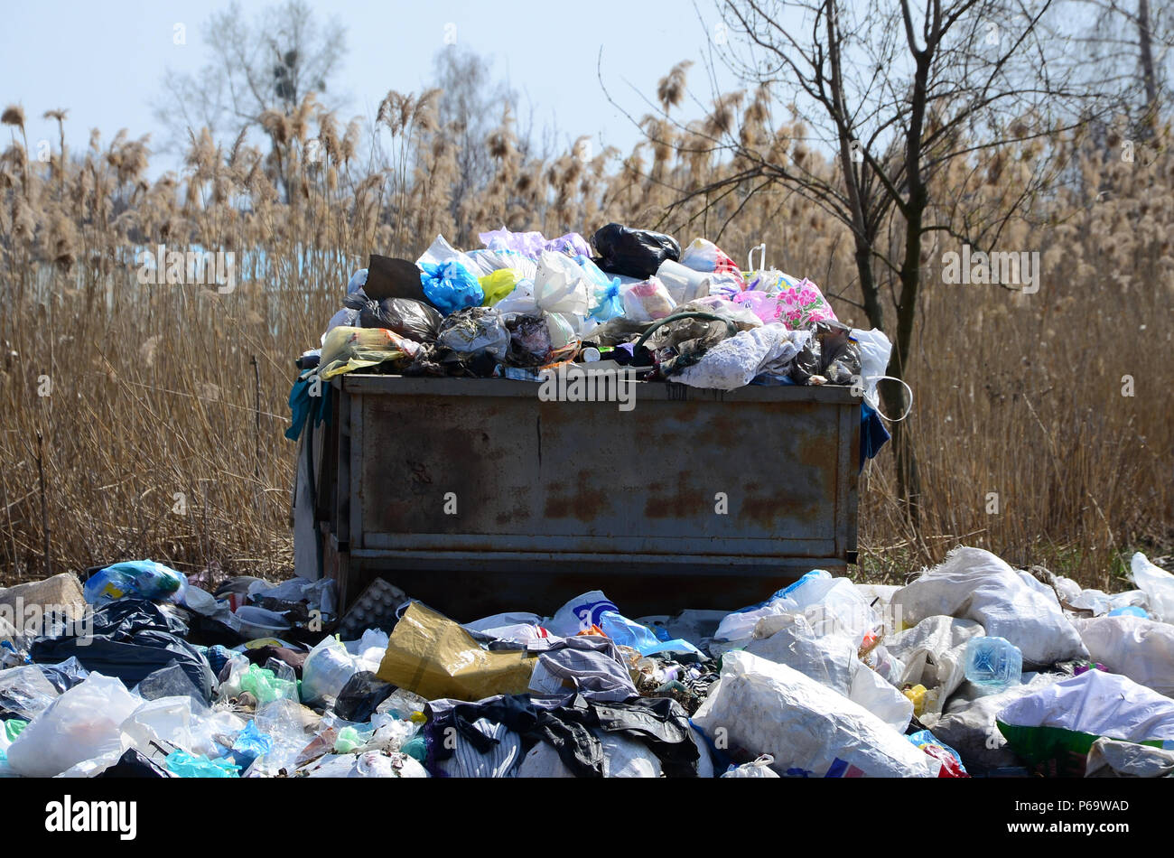 L'immondizia è imballato con rifiuti e rifiuti. Rimozione prematura di spazzatura in aree popolate . Foto Stock