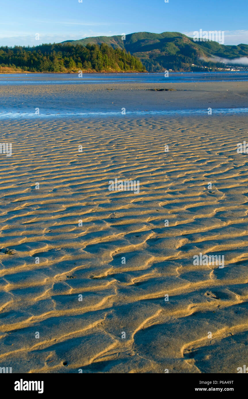 Tillamook Bay sandflat, Bayocean Penisola, Oregon Foto Stock