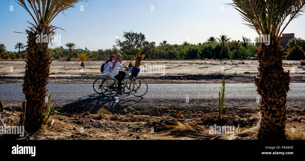I bambini fanno il loro modo a scuola in bicicletta nelle prime ore del mattino nella città di Skoura, Marocco Foto Stock