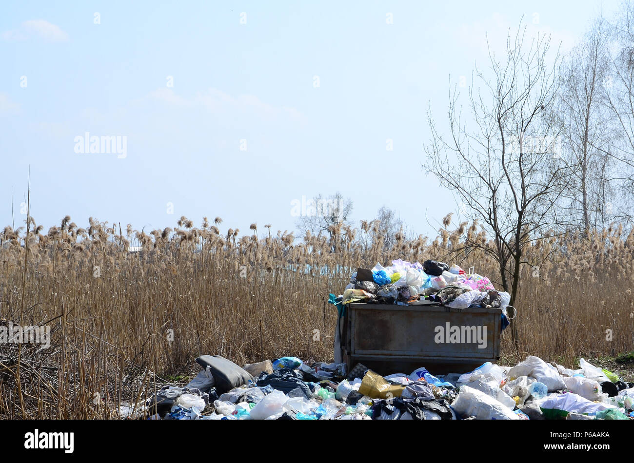 L'immondizia è imballato con rifiuti e rifiuti. Rimozione prematura di spazzatura in aree popolate . Foto Stock