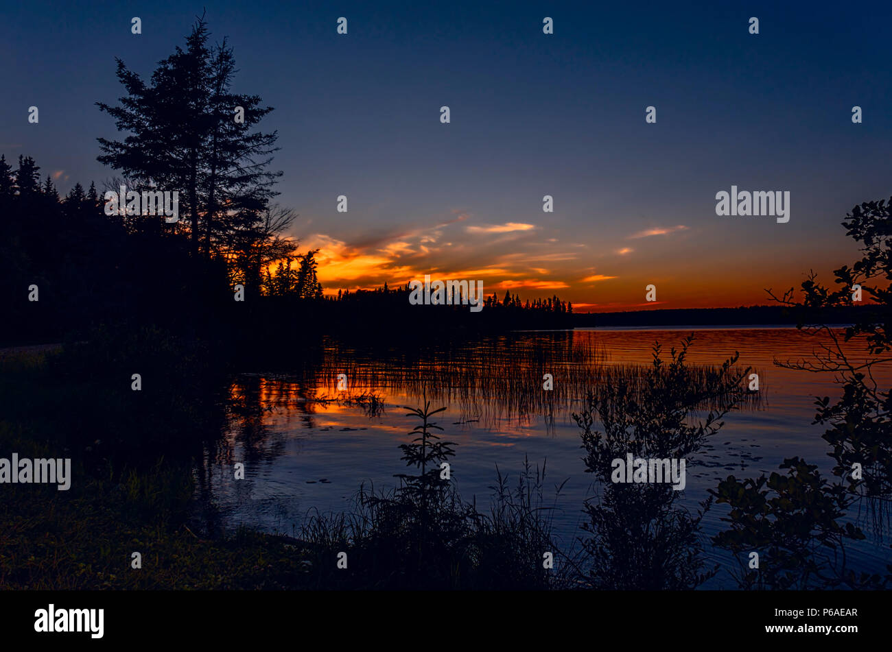 Lago blu e rosso tramonto illuminano, silhouette nera di alberi e di riflesso nell'acqua di rami di albero, cielo blu e rosso-giallo nuvole di sera Foto Stock