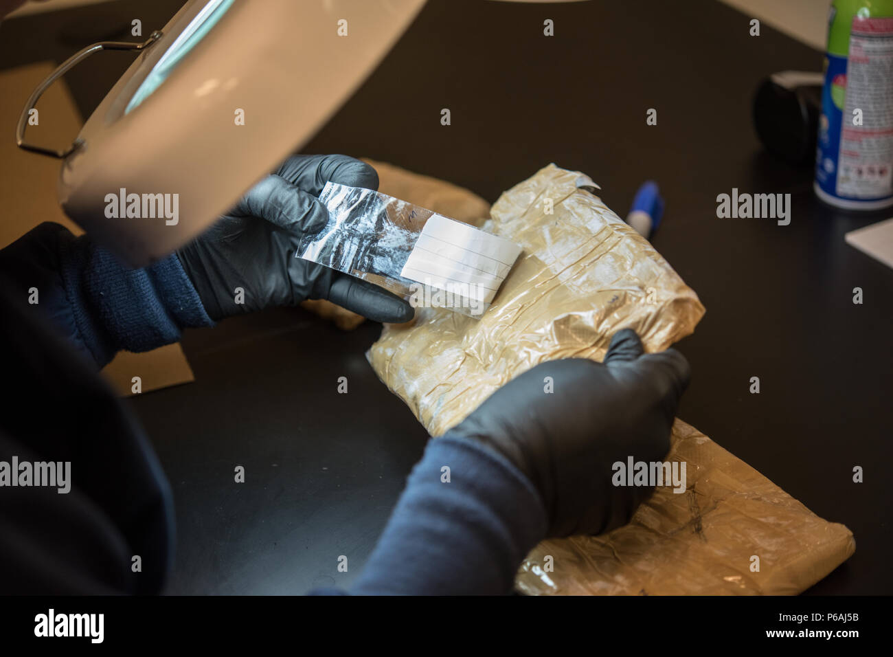 È sotto embargo fino al 1:00 PM EST, 20 luglio 2016. Stati Uniti Dipartimento di sicurezza e di immigrazione e dogana esecuzione (ghiaccio) svelano un maggiore lavoro di rinnovo del ghiaccio Homeland Security indagini (HSI) laboratorio forense in Tyson's Corner, VA Foto Stock
