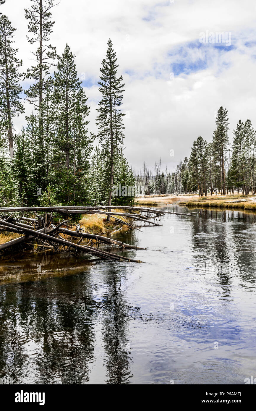 Parco Nazionale di Yellowstone in inizio di caduta con deboli nevicate, Montana USA Foto Stock