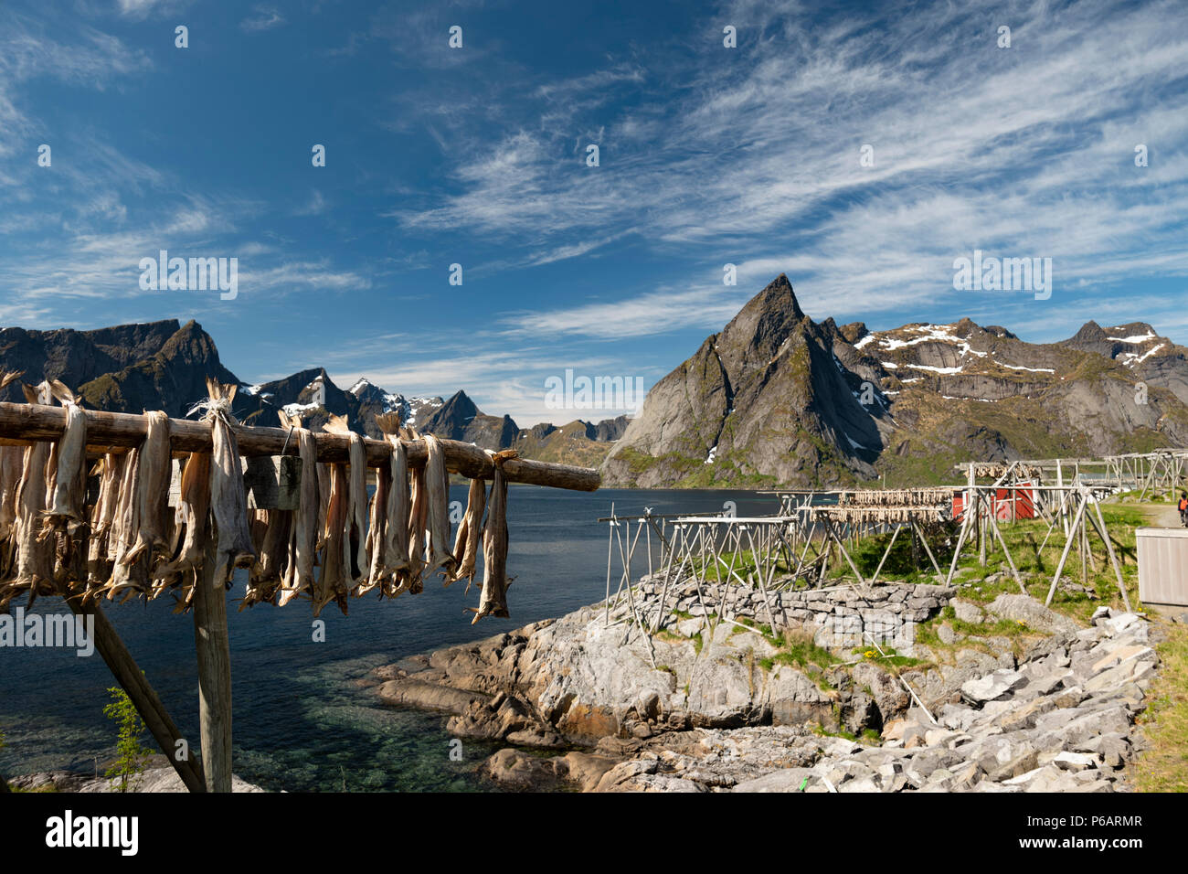 Essiccazione di pesce su scaffalature, Hamnoy, Isole Lofoten in Norvegia. Foto Stock