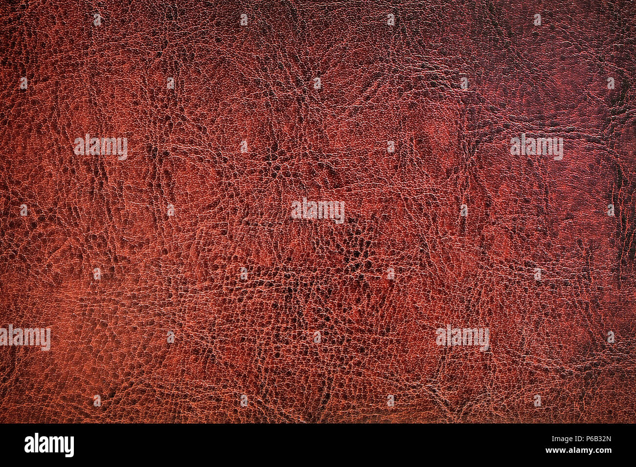 Immagine ravvicinata di rosso la superficie di pelle Foto Stock