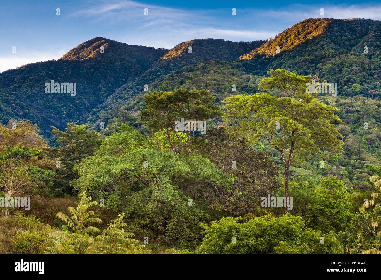 Paesaggio di Panama con la luce del sole dell'ora d'oro della mattina presto sulle montagne nel Parco Nazionale di Cerro Hoya, provincia di Veraguas, Repubblica di Panama. Foto Stock