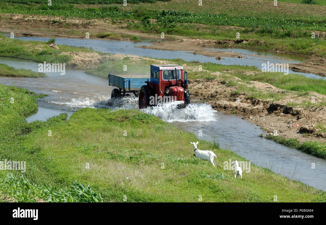 Guida del trattore attraverso un canale di irrigazione, il traino di un carico, sollevando un onda e spruzzi frontali, in Corea del Nord Repubblica popolare democratica di Corea Foto Stock