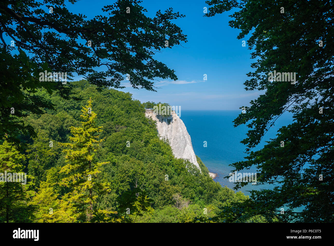 Paesaggio con chalk cliffs Königsstuhl nel Jasmund National Park, Sassnitz, Rügen, Meclenburgo-Pomerania Occidentale, Germania, Europa Foto Stock