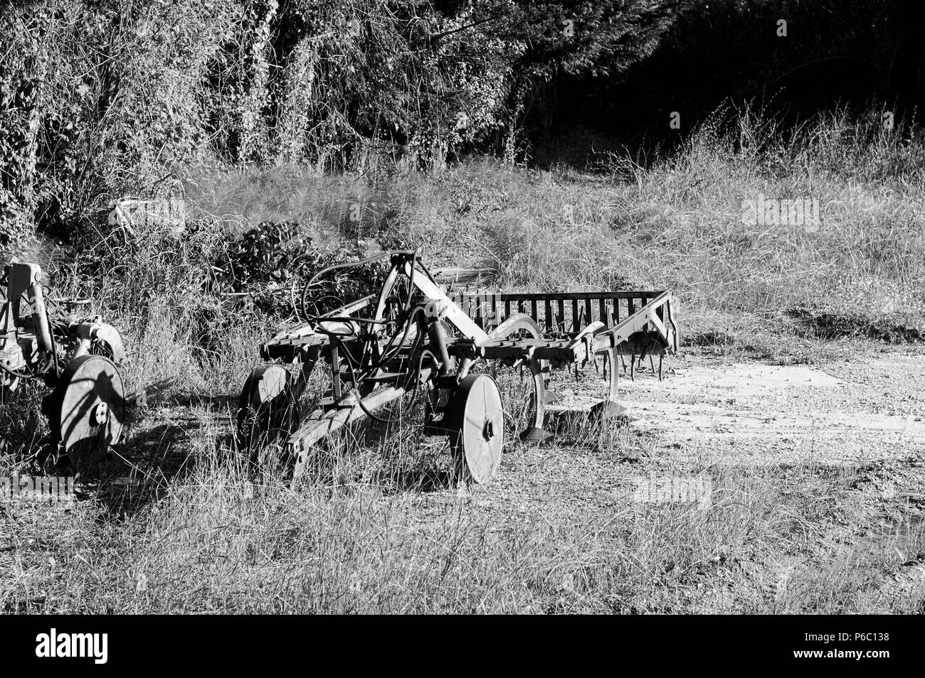 Isolato aratro in legno (Pesaro) Foto Stock