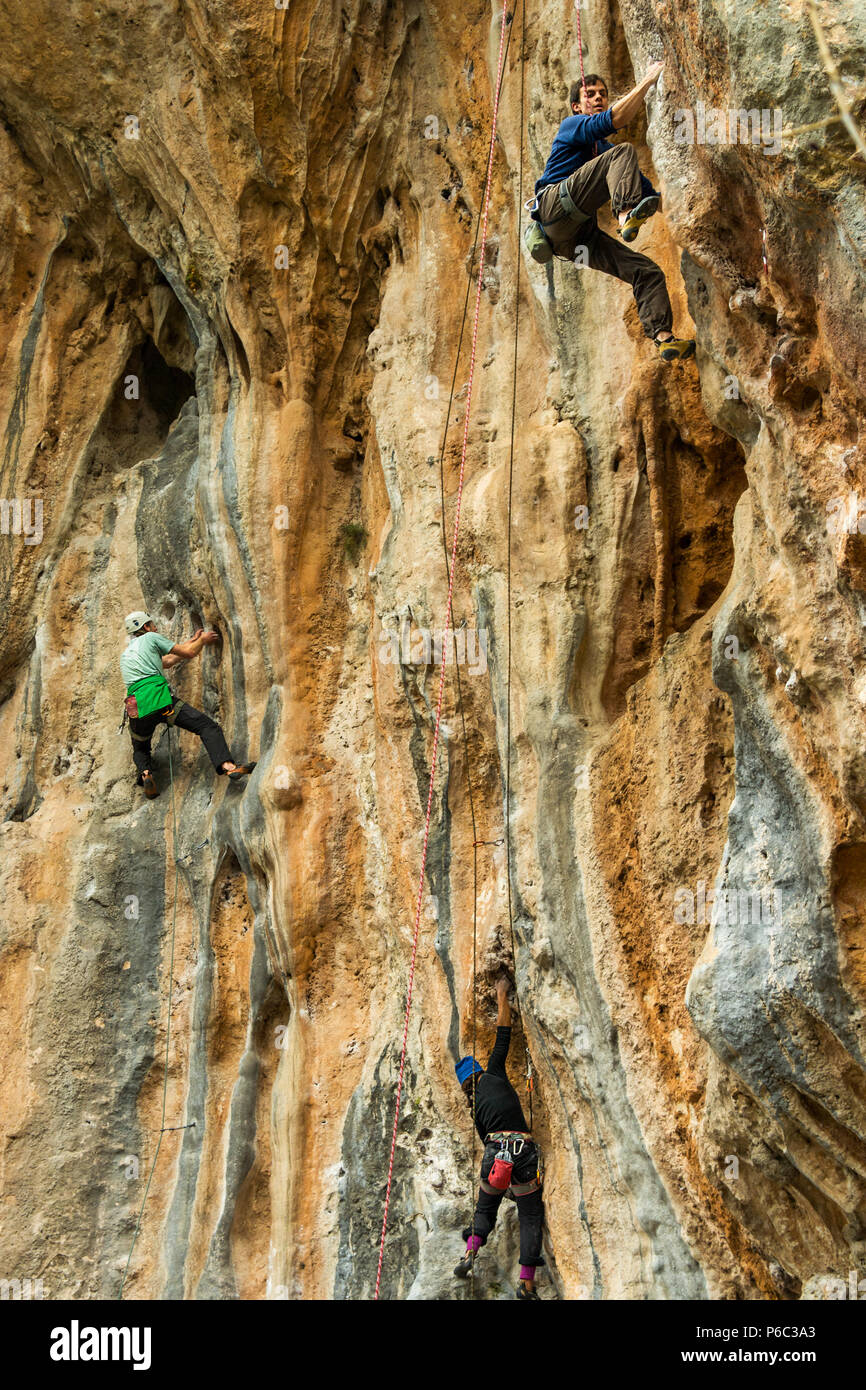 Un gruppo di alpinisti utilizzare funi e attrezzature specializzate per salire alcuni shear scogliere. Foto Stock
