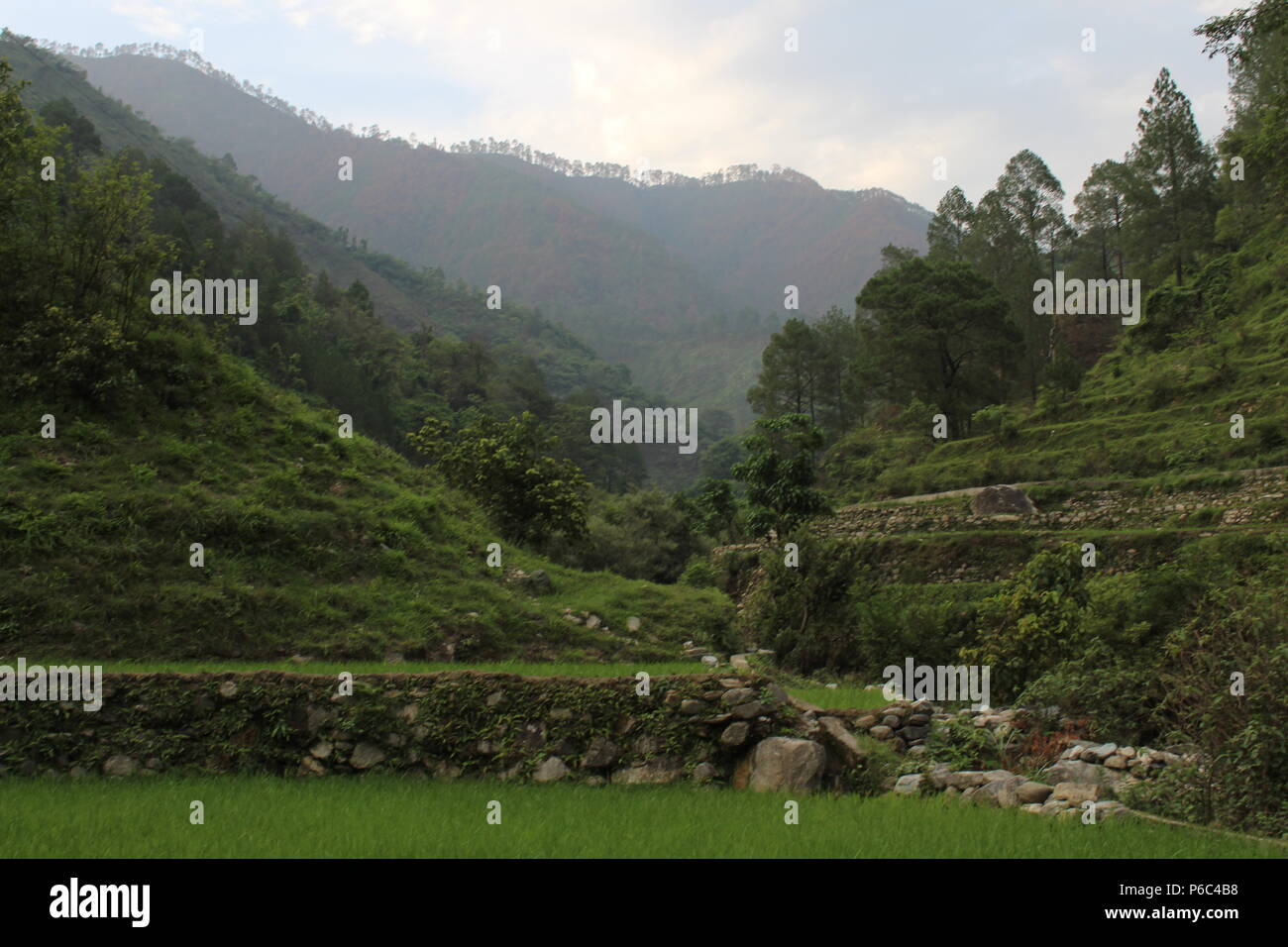 Splendida vista della valle Himalaya di Uttrakhand India Foto Stock