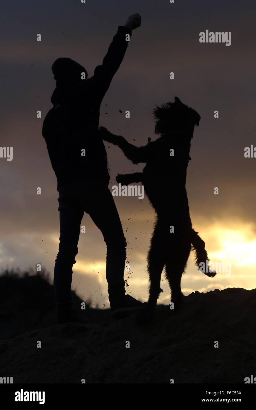 Wustrow, Germania - Silhouette, ragazzo giocare a palla con il suo cane su una duna di sera Foto Stock