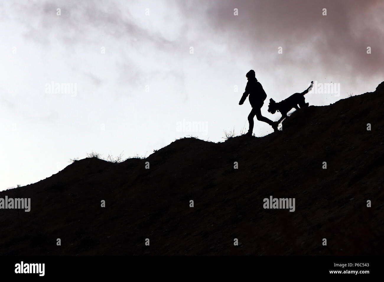 Wustrow, Germania - silhouette, ragazzo cammina con il suo cane su una duna di sera Foto Stock