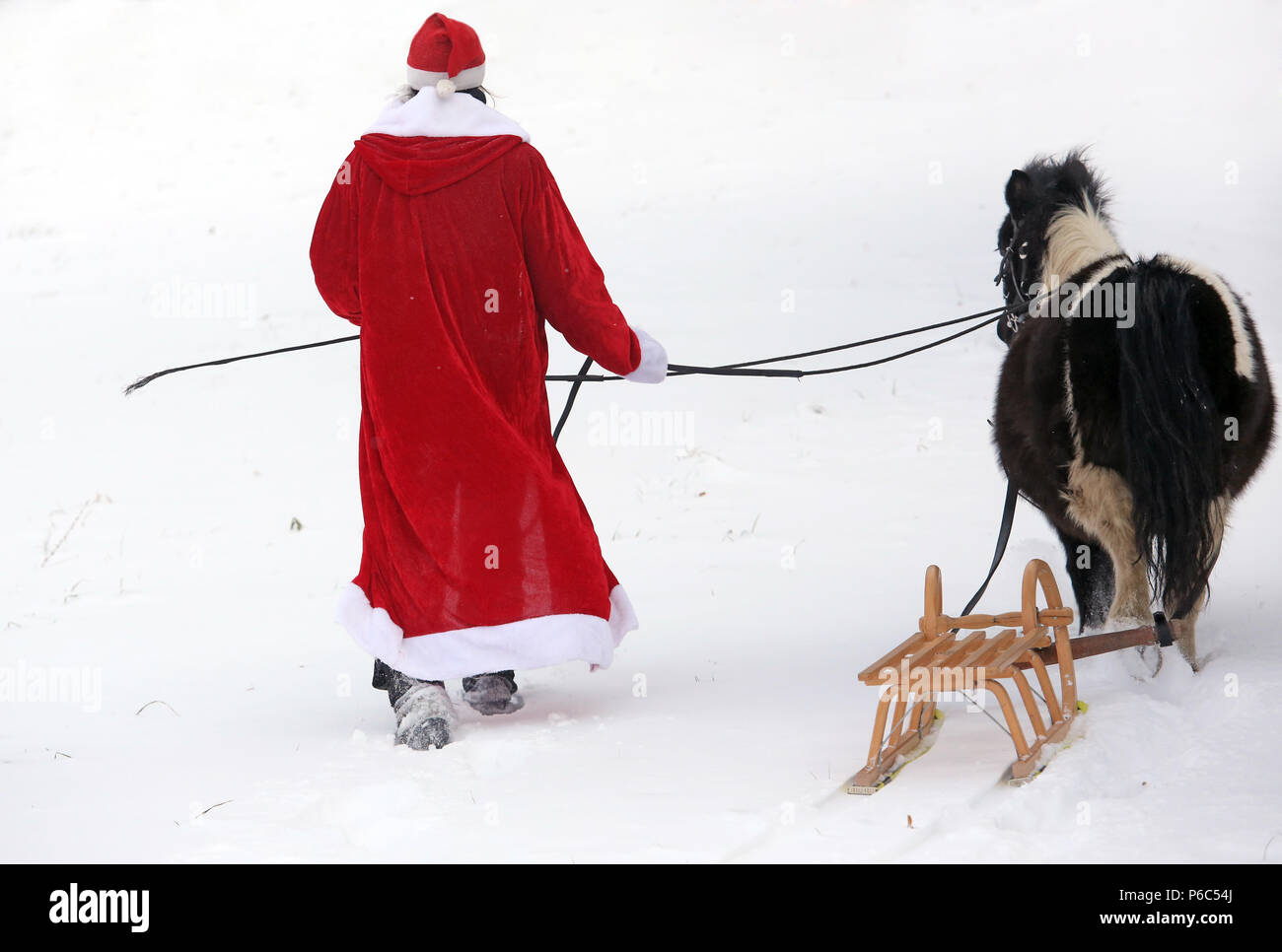 Oberoderwitz, Santa Claus conduce la sua imbrigliato pony Shetland attraverso la neve Foto Stock