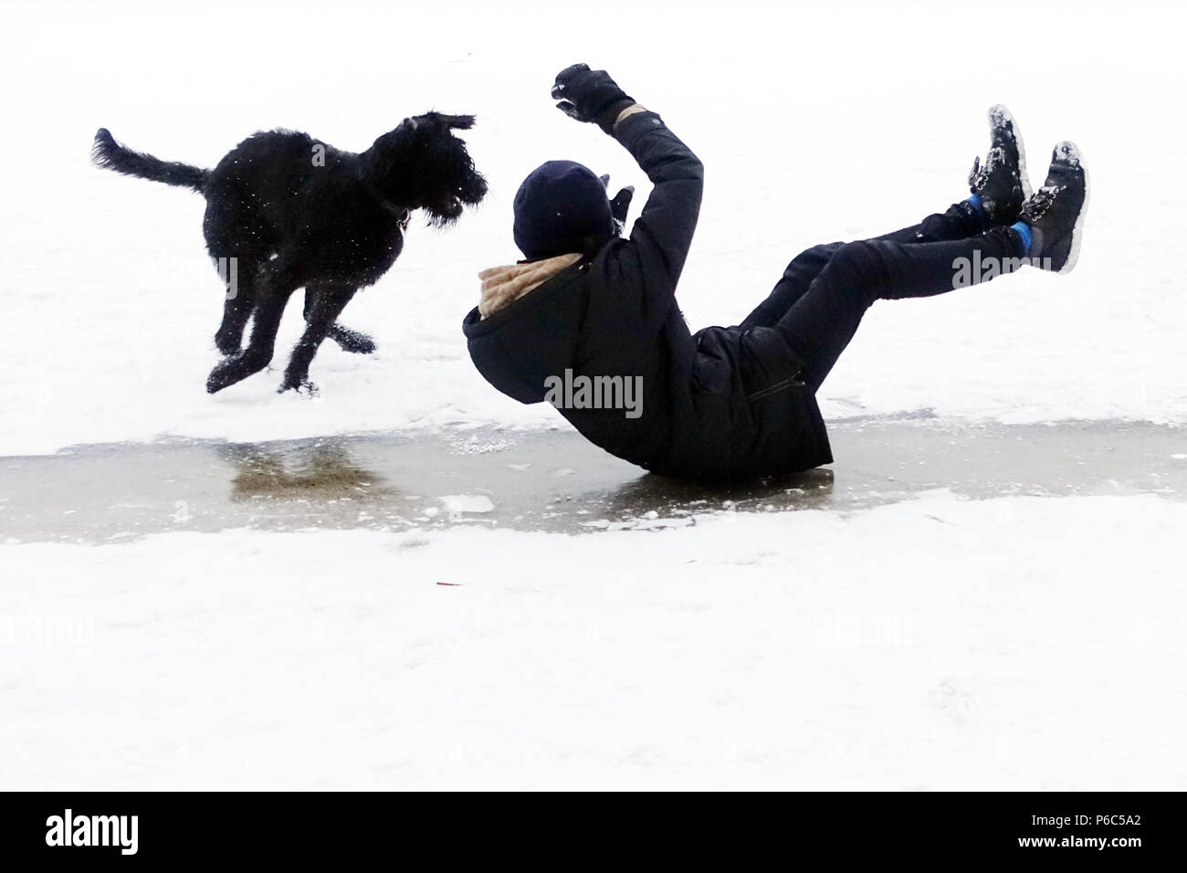 Berlino, Germania, ragazzo scivola su di una superficie di ghiaccio accompagnato dal suo cane su i pantaloni Foto Stock