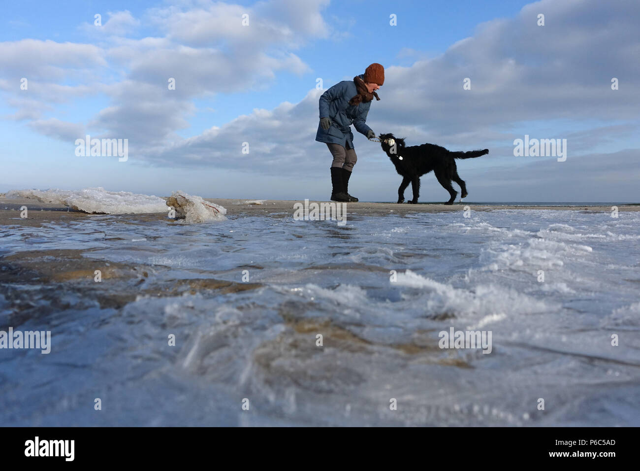 Ahlbeck, Germania, Donna che gioca con il suo cane in inverno sulla spiaggia Foto Stock