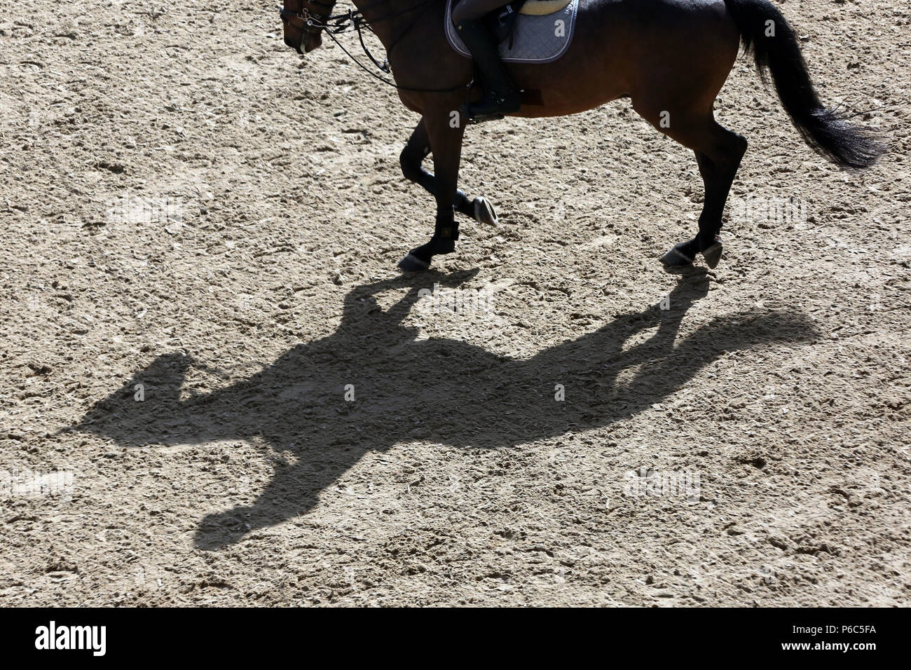 Doha, cavallo e cavaliere getta un ombra sul terreno Foto Stock