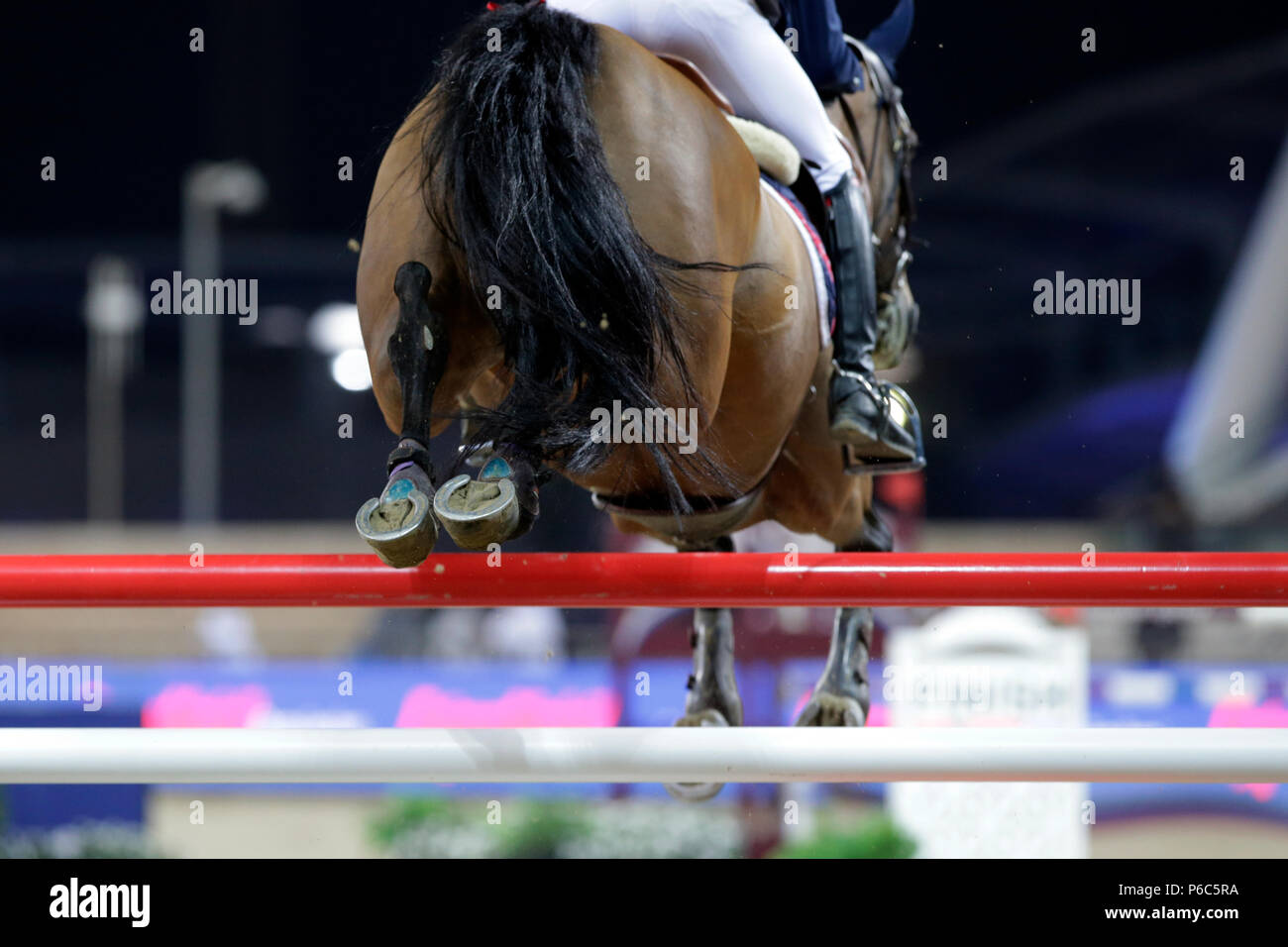Doha, close-up, saltando a cavallo su un ripido salto Foto Stock