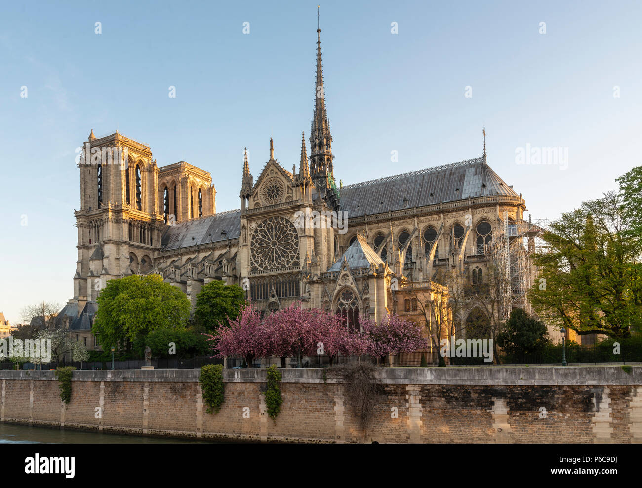 Mattina vista della Cattedrale di Notre Dame, Parigi Francia, durante la primavera dalla Rue St. Julien. Foto Stock