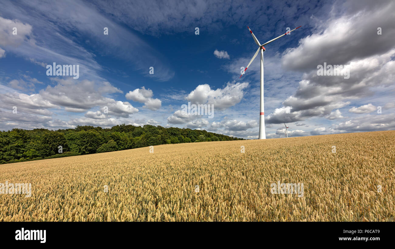 Turbina eolica in un campo di grano vicino a Helmstadt, Germania Foto Stock
